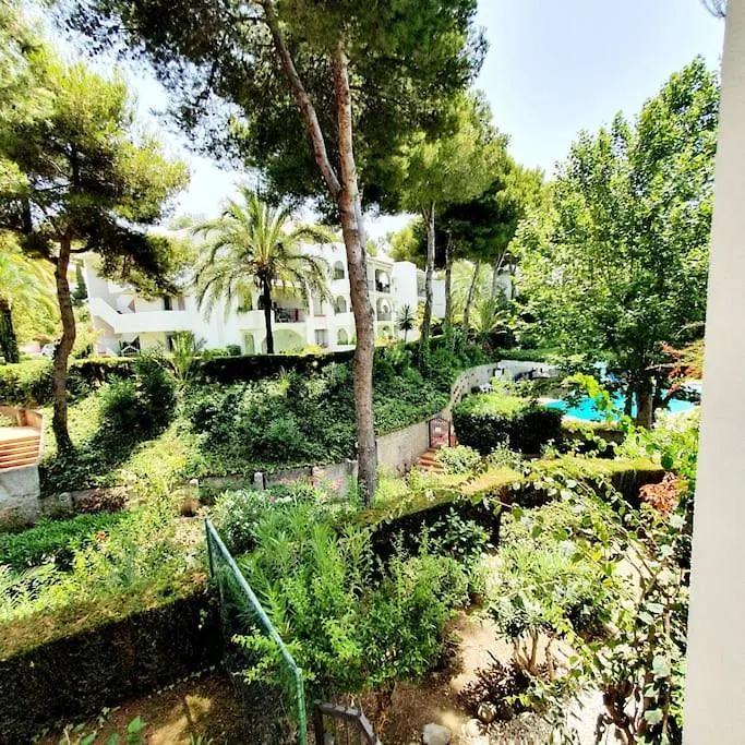 La Petunia Apartment Sitio de Calahonda 0*,